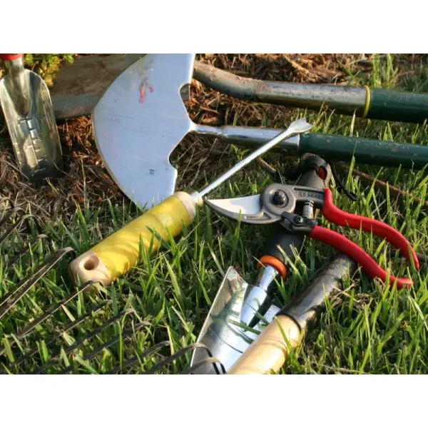 7 самых необходимых ручных инструментов для сада и огорода