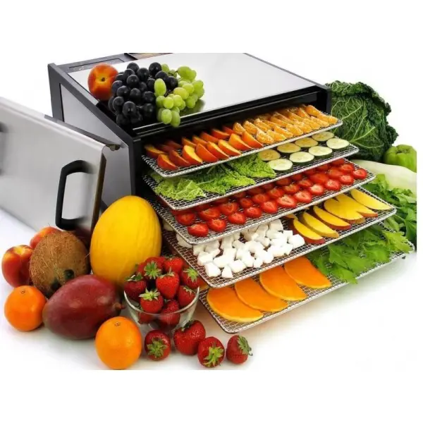 Как выбрать дегидратор для сушки фруктов и овощей