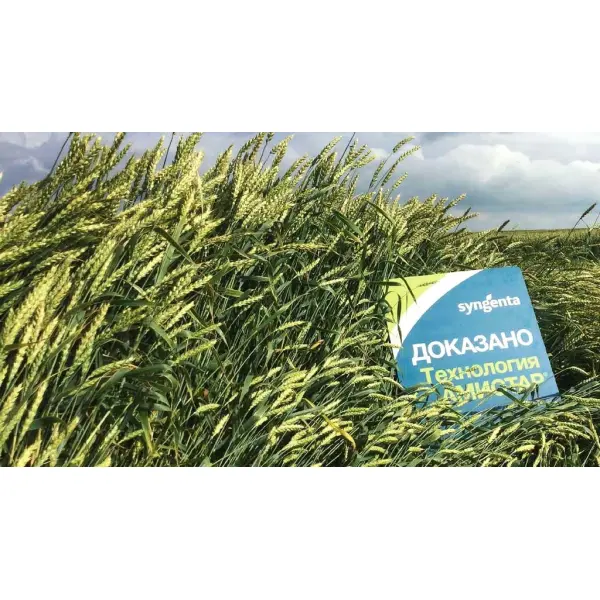 Фунгициды для картофеля