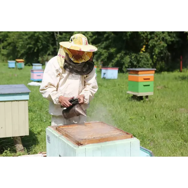 Применение дымарей на пасеке
