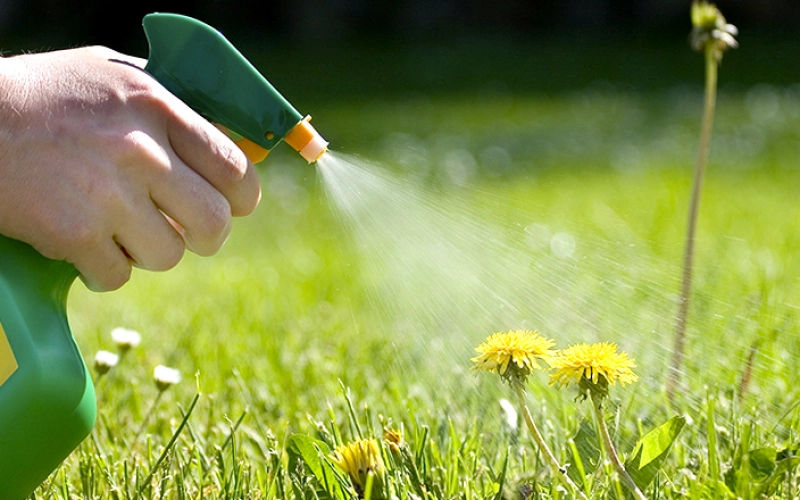 3 правила, которые нужно соблюдать при работе с гербицидами 3 правила, которые нужно соблюдать при работе с гербицидами