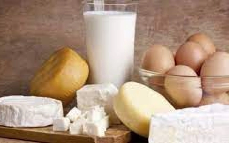 Сертификация молока и молочной продукции Сертификация молока и молочной продукции