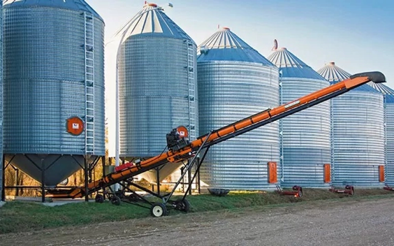 Как влияет Гранпротек на качество и урожайность обрабатываемых культур? Как влияет Гранпротек на качество и урожайность обрабатываемых культур?