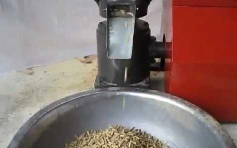 Экструдер-гранулятор для кормов: функциональность, преимущества и ограничения Экструдер-гранулятор для кормов: функциональность, преимущества и ограничения