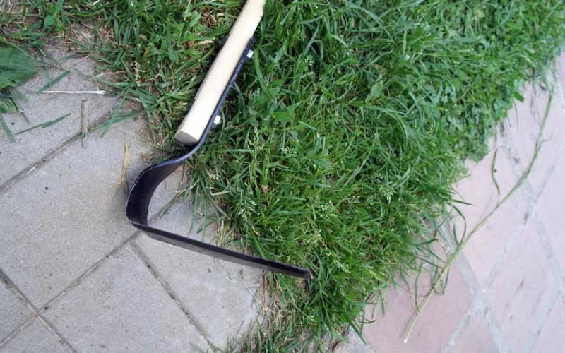 Полезные советы для тех, кто решил заняться органическим земледелием Полезные советы для тех, кто решил заняться органическим земледелием