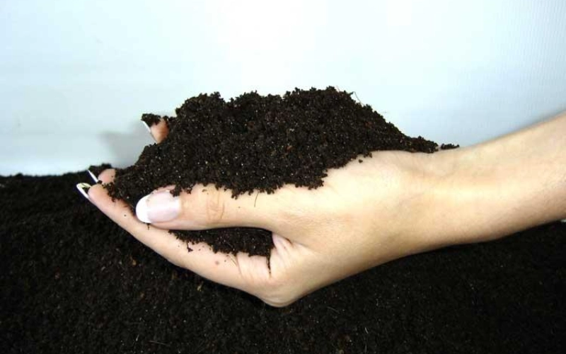 Выбор и применение субстратов для растений Выбор и применение субстратов для растений