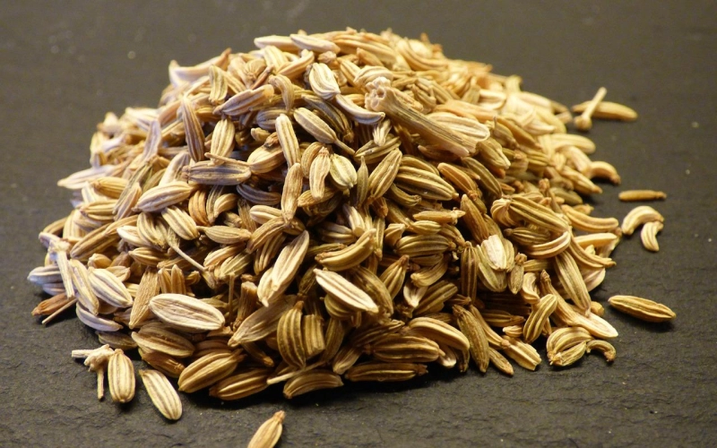 Использование протравителей семян: защита урожая без риска Использование протравителей семян: защита урожая без риска