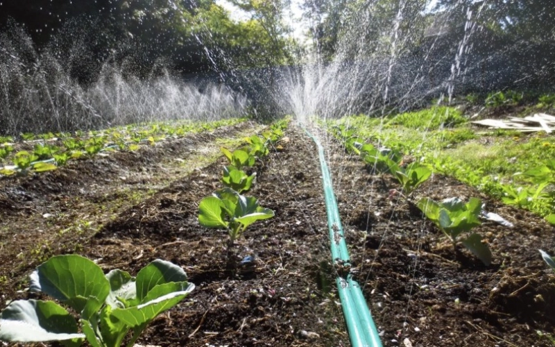 Енергоефективні рішення для парників Енергоефективні рішення для парників