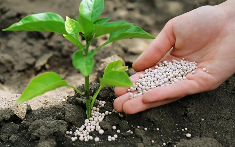 Вибір між органічними, мінеральними та органо-мінеральними добривами Вибір між органічними, мінеральними та органо-мінеральними добривами