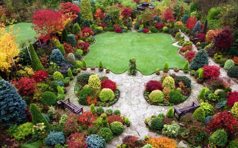 Догляд за декоративними рослинами протягом усього року. Догляд за декоративними рослинами протягом усього року.