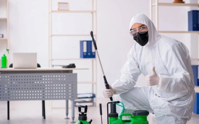 Акарацидна обробка складів: Запобігання поширенню кліщів та інших шкідників Акарацидна обробка складів: Запобігання поширенню кліщів та інших шкідників