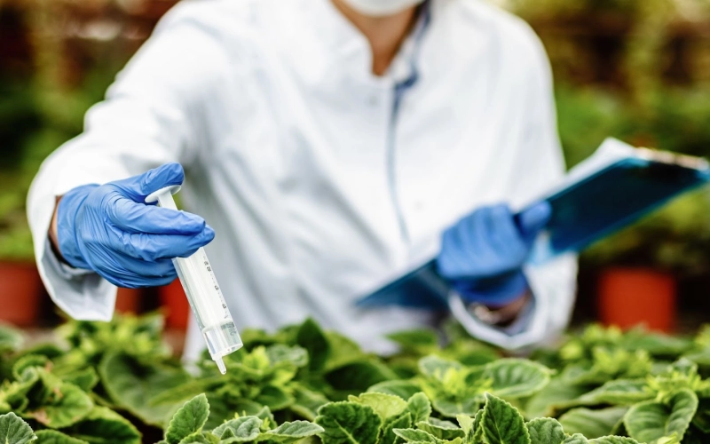 Что такое десикация и для чего она нужна? Что такое десикация и для чего она нужна?