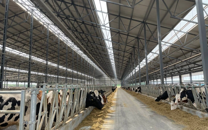 Світлопрозорі лінії з полікарбонату "Suntuf" у покрівлі: природне освітлення та захист від перегріву Світлопрозорі лінії з полікарбонату "Suntuf" у покрівлі: природне освітлення та захист від перегріву