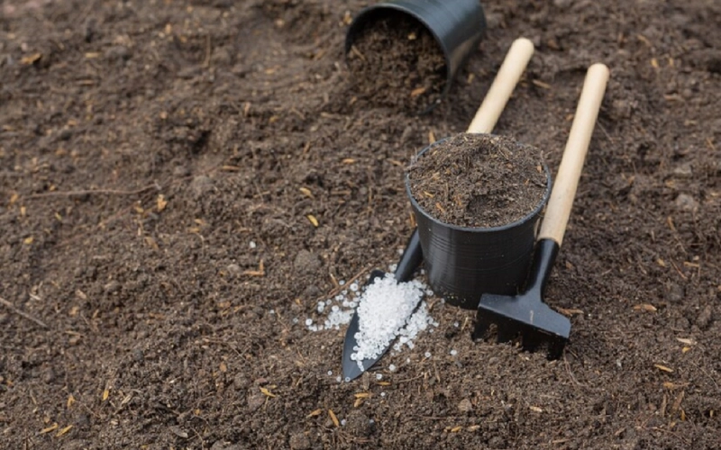 Які добрива найкраще вносити восени? Які добрива найкраще вносити восени?