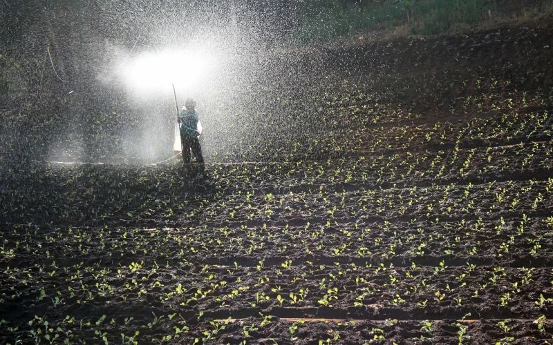 Какие удобрения выбрать для плодородной почвы? Какие удобрения выбрать для плодородной почвы?
