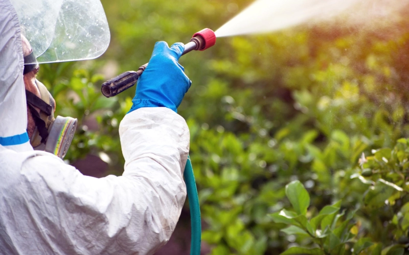 Системные фунгициды нового поколения: как работают комбинированные препараты Системные фунгициды нового поколения: как работают комбинированные препараты