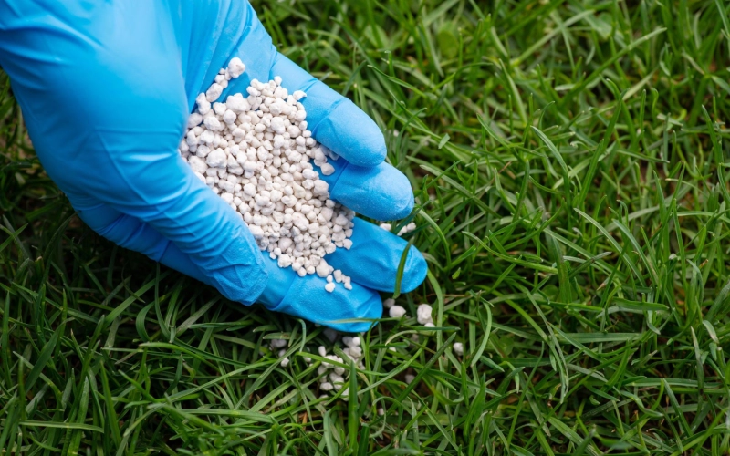 Весна, літо, осінь: яке добриво для газону обрати на кожен сезон Весна, літо, осінь: яке добриво для газону обрати на кожен сезон