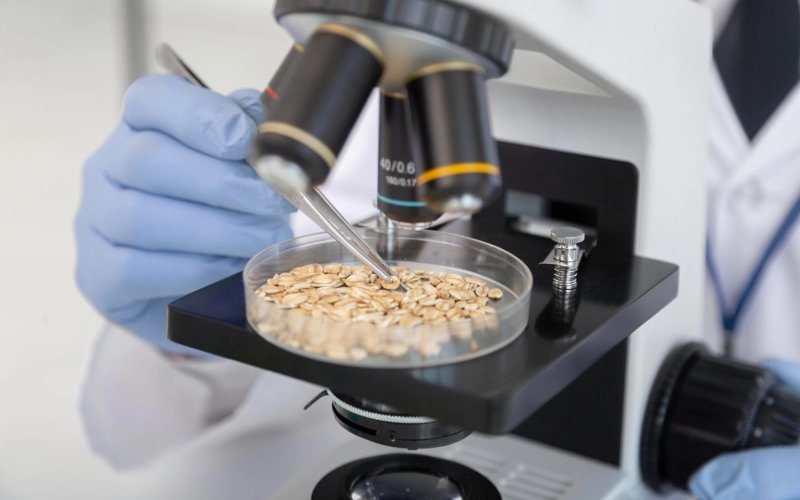 Определение качества зерна в лабораторных условиях и особенности оборудования Определение качества зерна в лабораторных условиях и особенности оборудования