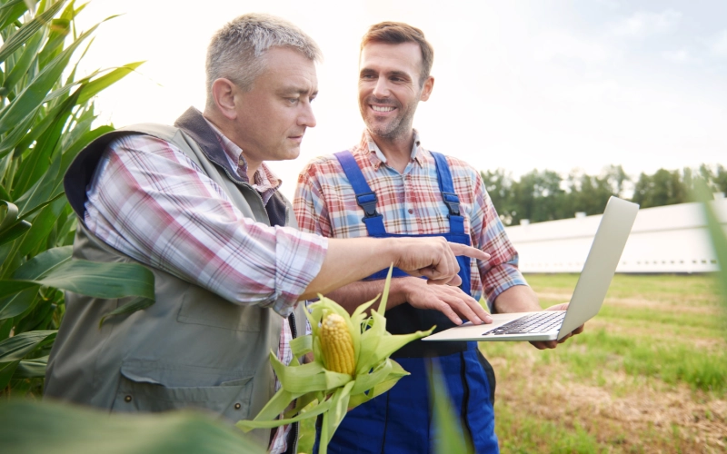 Сезонний пік в агро: як аутсорсинг польових бригад забезпечує стабільний збір урожаю Сезонний пік в агро: як аутсорсинг польових бригад забезпечує стабільний збір урожаю