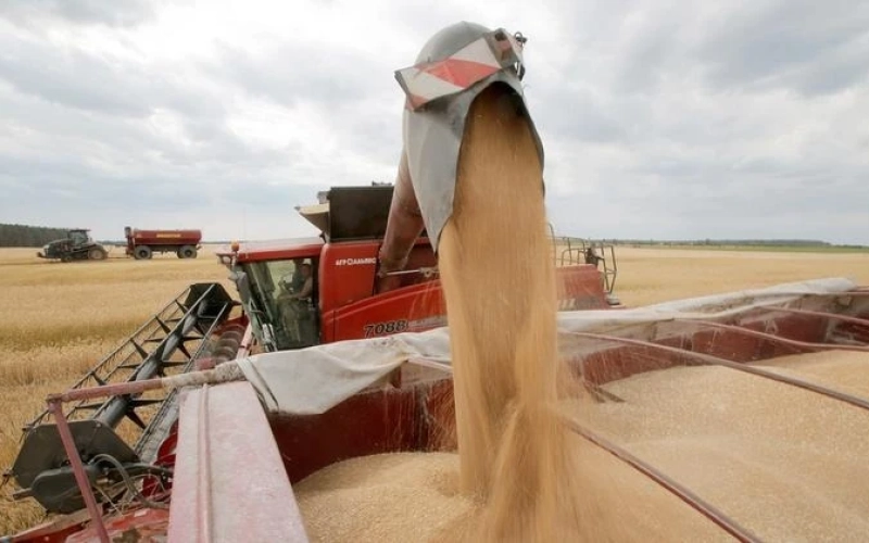 Зерно чи соя — на чому заробляють аграрії зараз Зерно чи соя — на чому заробляють аграрії зараз