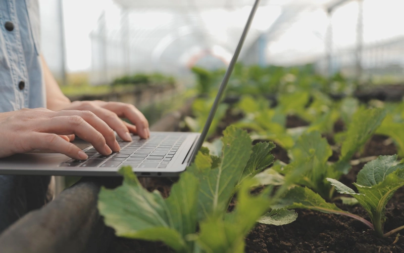 Почему автоматизация учета — это стратегическое преимущество для малого ФХ? Почему автоматизация учета — это стратегическое преимущество для малого ФХ?