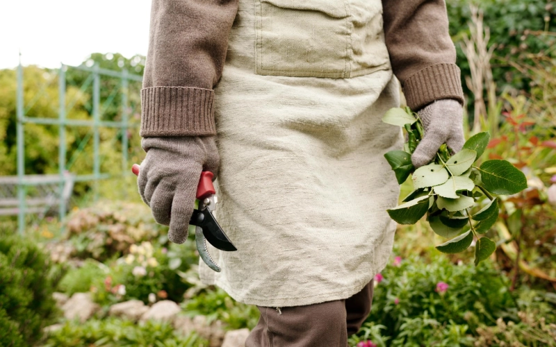 Какие режимы стирки удобны для одежды после работы с землей, рассадой и удобрениями Какие режимы стирки удобны для одежды после работы с землей, рассадой и удобрениями