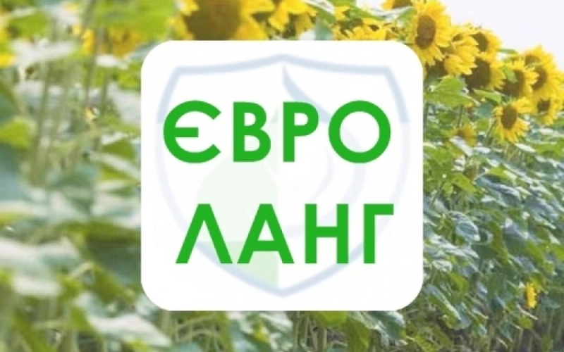Что выбрать Евро Ланг или Евро Ленд? Что выбрать Евро Ланг или Евро Ленд?
