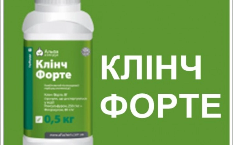 Стоит ли применять гербицид Клинч Форте на кукурузе? Стоит ли применять гербицид Клинч Форте на кукурузе?