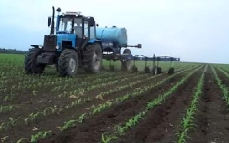 Биологические удобрения: новая эпоха здорового питания Биологические удобрения: новая эпоха здорового питания