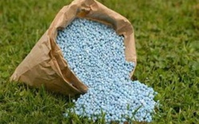 Минеральные удобрения: польза или вред? Минеральные удобрения: польза или вред?