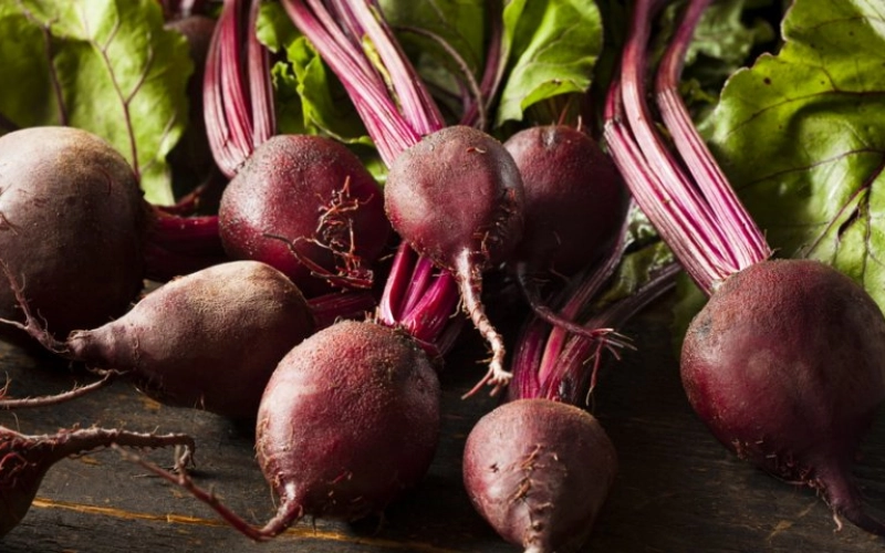 Борьба с сорняками на свекольном поле Борьба с сорняками на свекольном поле