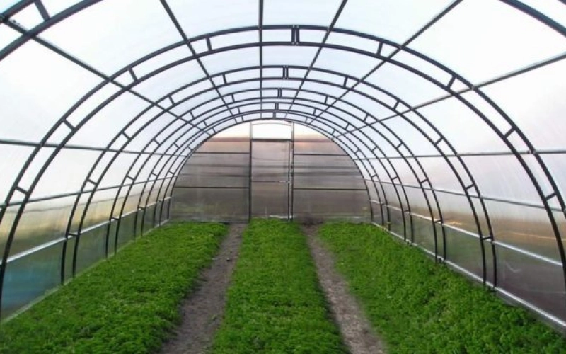 Промышленные теплицы: конструктивные особенности и ассортимент сооружений Промышленные теплицы: конструктивные особенности и ассортимент сооружений