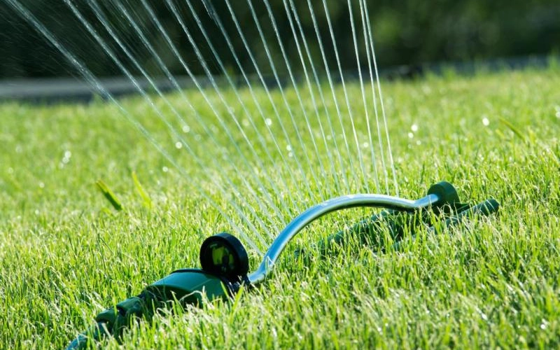 Капельное орошение как эффективный способ полива растений Капельное орошение как эффективный способ полива растений