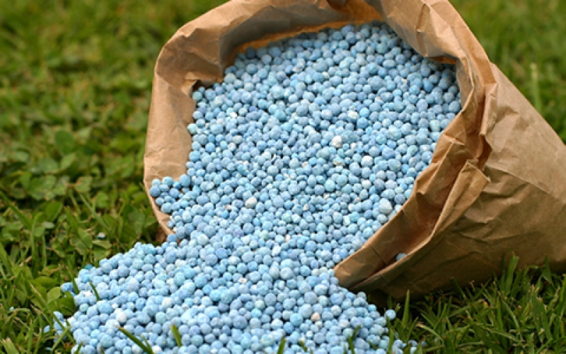 Удобрения для газона в ассортименте компании «Украинские газоны» Удобрения для газона в ассортименте компании «Украинские газоны»