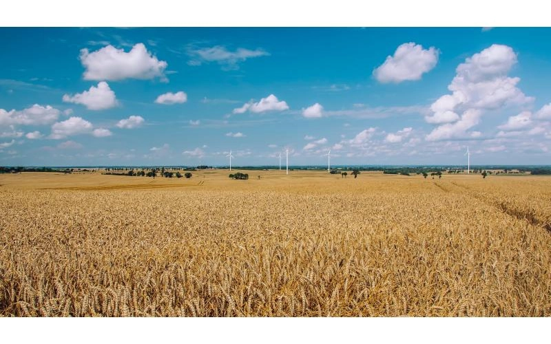 Неделя праздника работников сельского хозяйства ознаменовалась высоким Урожаем Неделя праздника работников сельского хозяйства ознаменовалась высоким Урожаем