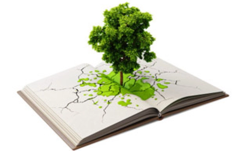 Классификация и виды минеральных удобрений Классификация и виды минеральных удобрений