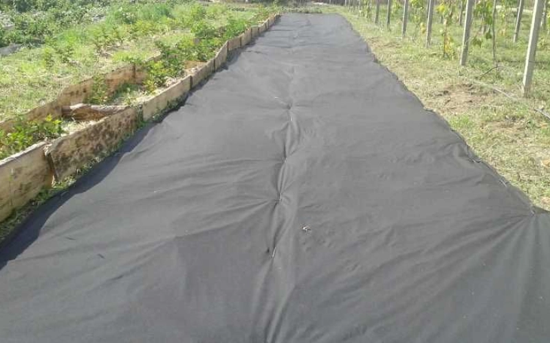 Агроволокно: типы, назначение, особенности использования Агроволокно: типы, назначение, особенности использования