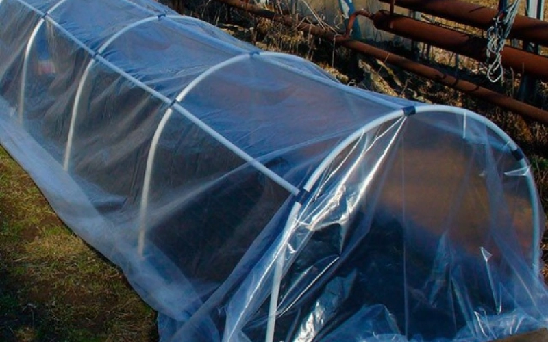 Парники для огурцов: как организовать Парники для огурцов: как организовать