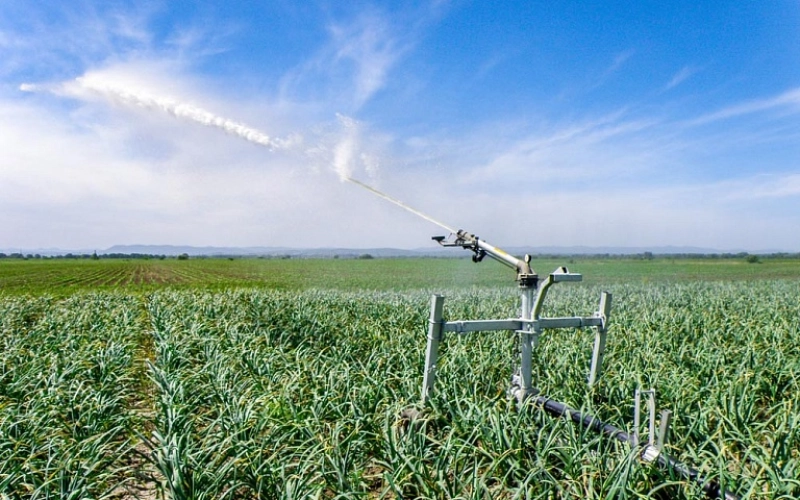 Сельскохозяйственная техника для орошения и почвенной обработки: преимущества, особенности Сельскохозяйственная техника для орошения и почвенной обработки: преимущества, особенности