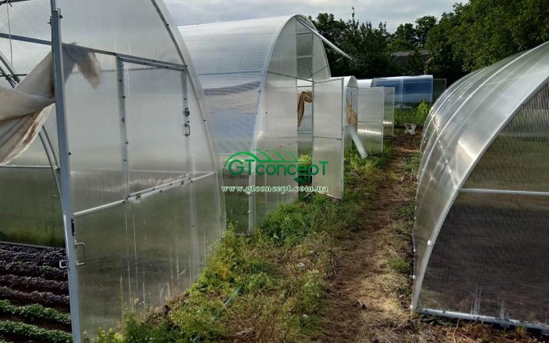 Органическое земледелие в теплице Органическое земледелие в теплице