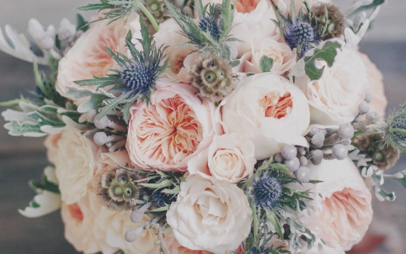 Особенности выбора саженцев роз Дэвида Остина Особенности выбора саженцев роз Дэвида Остина