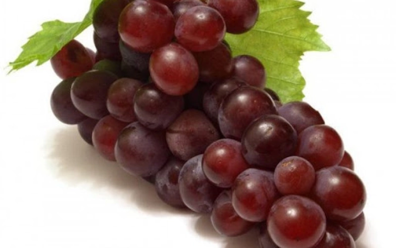 Виноград Низина – морозостойкий столовый сорт с «вишневым» привкусом Виноград Низина – морозостойкий столовый сорт с «вишневым» привкусом