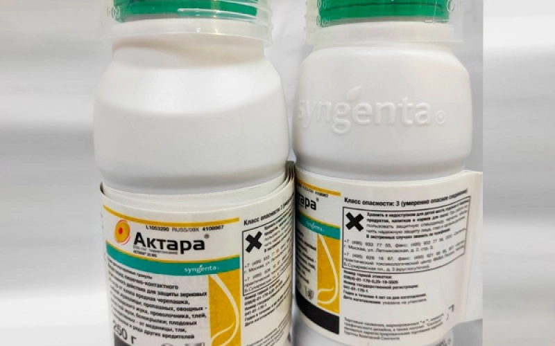 Как работает инсектицид «Актара» от производителя Syngenta Как работает инсектицид «Актара» от производителя Syngenta