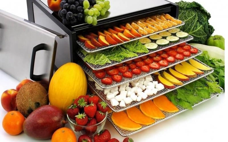 Как выбрать дегидратор для сушки фруктов и овощей Как выбрать дегидратор для сушки фруктов и овощей