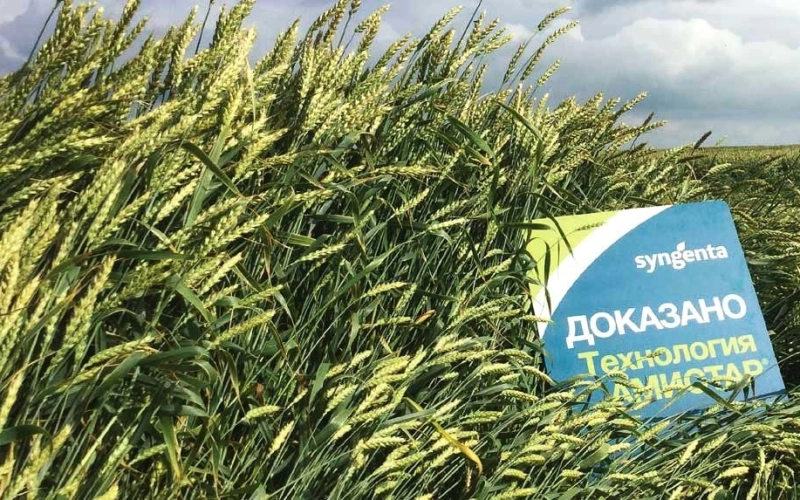 Фунгициды для картофеля Фунгициды для картофеля